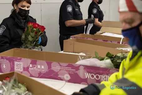 US Sees Billion-Dollar Duty Increase, Surge in Goods Seizures