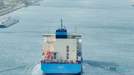 Shipping Majors Take Divergent Paths Through Red Sea