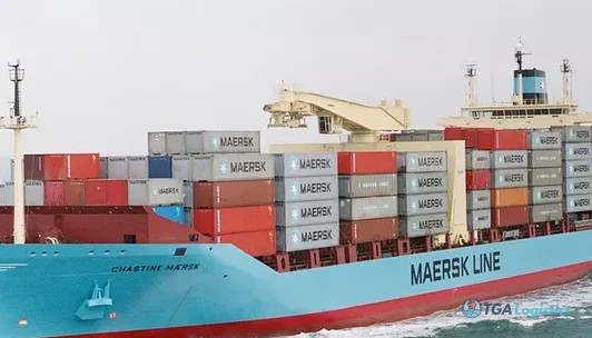 Update: Lunar New Year: Shippers prize crucial SKUs over stockpiling