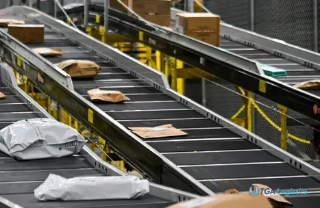 Amazon's Same-Day Delivery Soars, Driven by Essential Goods