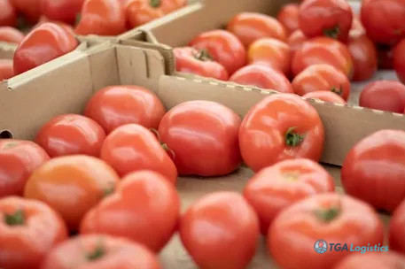 Retailers Drive New Standards in Food Traceability