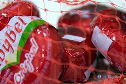 Babybel Parent Invests $200 Million in Production Expansion