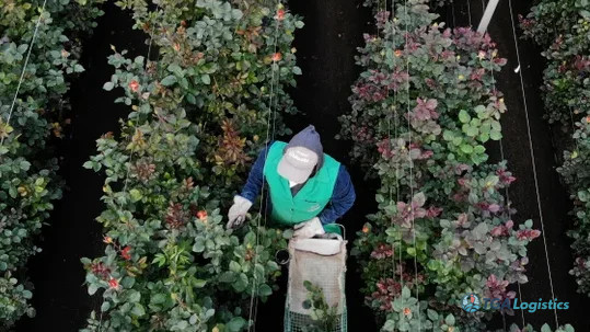 US-Ecuador Finalize Trade Pact, Boosting Key Exports