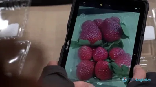 Albertsons Integrates AI for Produce Quality Checks