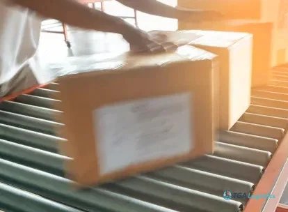 The Real-Time Shift in Parcel Logistics