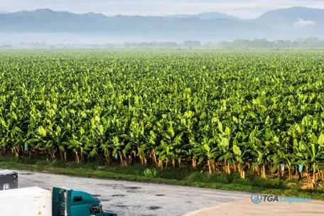 Middle East Tensions Drive Del Monte's $40 Million Freight Headwind