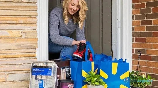 Rapid Delivery Transforms Grocery Shopping Landscape