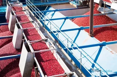 Update: Ocean Spray names chief supply chain officer