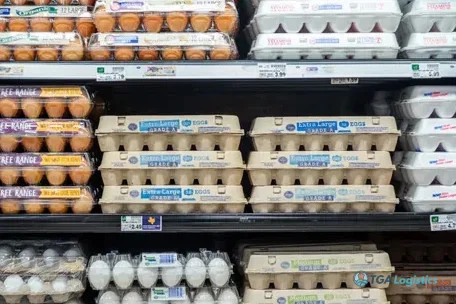 U.S. Egg Market Adjusts as Supply and Demand Rebalance